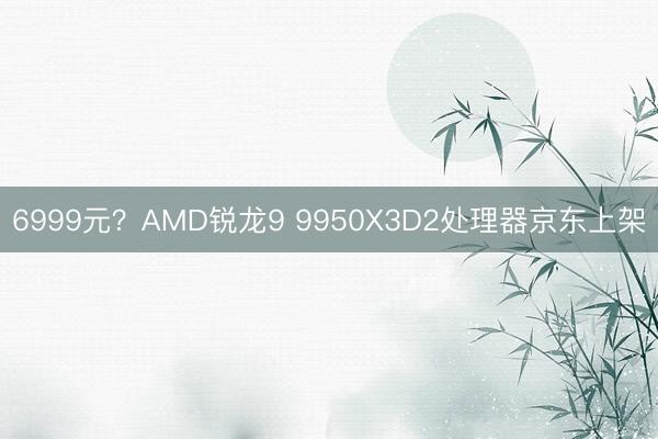 6999元？AMD锐龙9 9950X3D2处理器京东上架