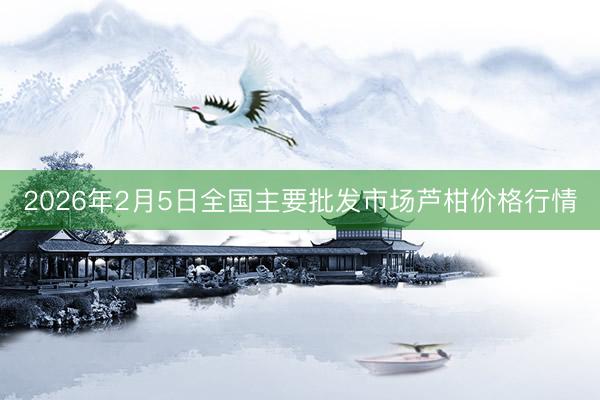 2026年2月5日全国主要批发市场芦柑价格行情
