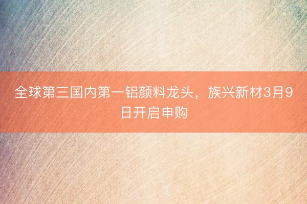 全球第三国内第一铝颜料龙头，族兴新材3月9日开启申购