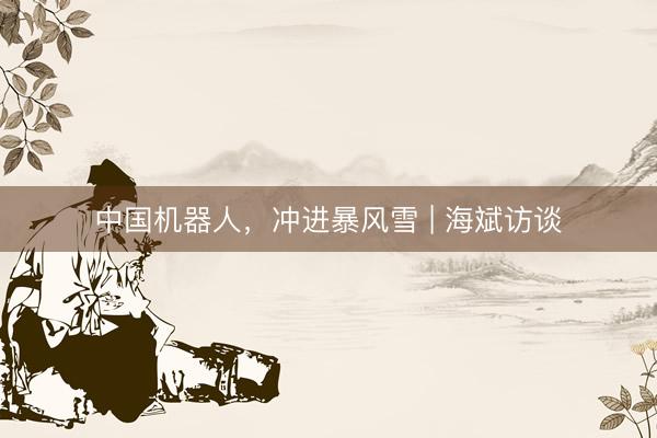 中国机器人，冲进暴风雪 | 海斌访谈