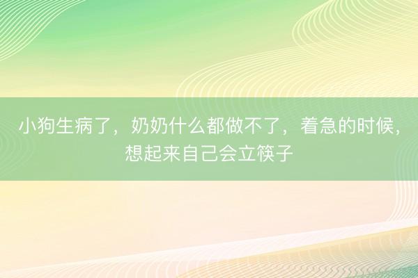 小狗生病了，奶奶什么都做不了，着急的时候，想起来自己会立筷子