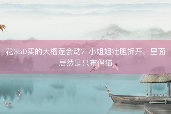 花350买的大榴莲会动？小姐姐壮胆拆开，里面居然是只布偶猫