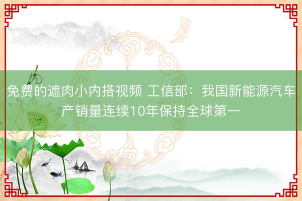 免费的遮肉小内搭视频 工信部：我国新能源汽车产销量连续10年保持全球第一