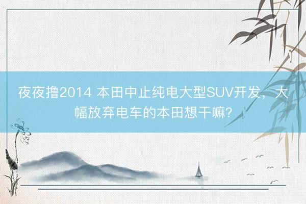 夜夜撸2014 本田中止纯电大型SUV开发，大幅放弃电车的本田想干嘛？