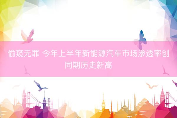 偷窥无罪 今年上半年新能源汽车市场渗透率创同期历史新高