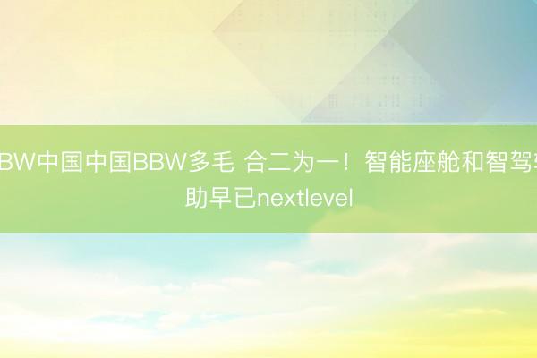 BBW中国中国BBW多毛 合二为一！智能座舱和智驾辅助早已nextlevel