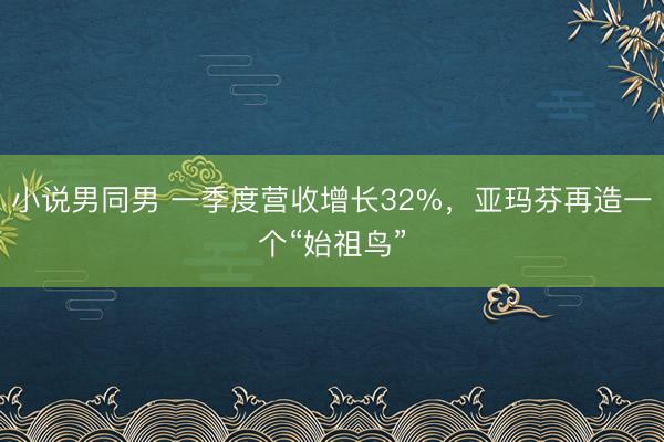小说男同男 一季度营收增长32%，亚玛芬再造一个“始祖鸟”