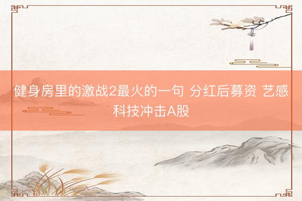 健身房里的激战2最火的一句 分红后募资 艺感科技冲击A股