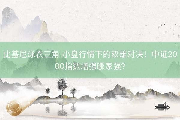 比基尼泳衣三角 小盘行情下的双雄对决！中证2000指数增强哪家强？