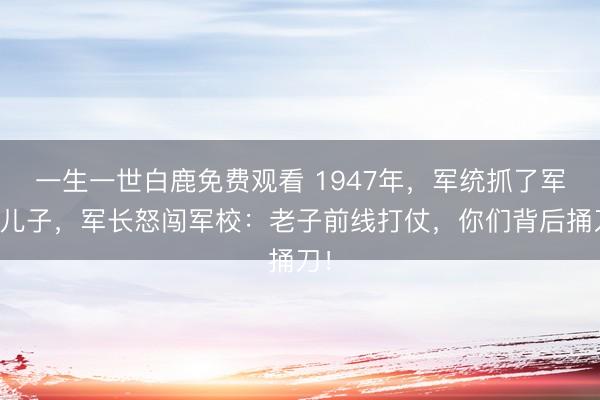 一生一世白鹿免费观看 1947年，军统抓了军长儿子，军长怒闯军校：老子前线打仗，你们背后捅刀！
