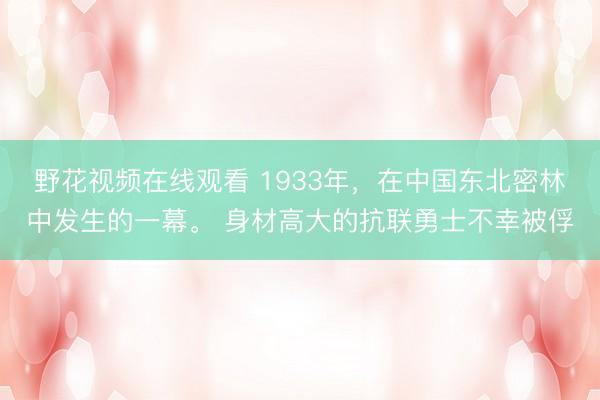 野花视频在线观看 1933年，在中国东北密林中发生的一幕。 身材高大的抗联勇士不幸被俘