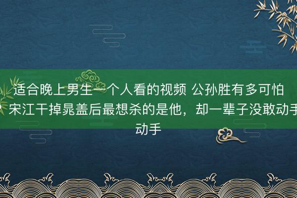 适合晚上男生一个人看的视频 公孙胜有多可怕？宋江干掉晁盖后最想杀的是他，却一辈子没敢动手