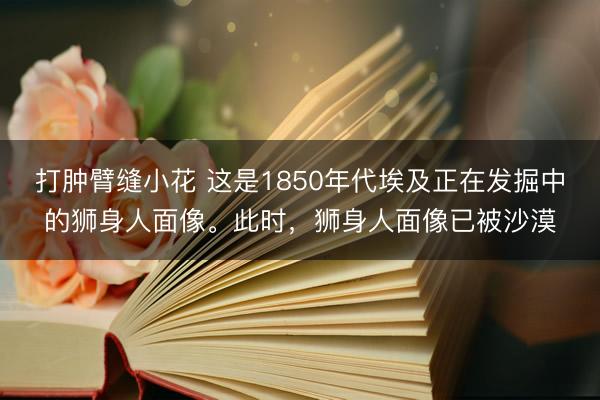 打肿臂缝小花 这是1850年代埃及正在发掘中的狮身人面像。此时，狮身人面像已被沙漠