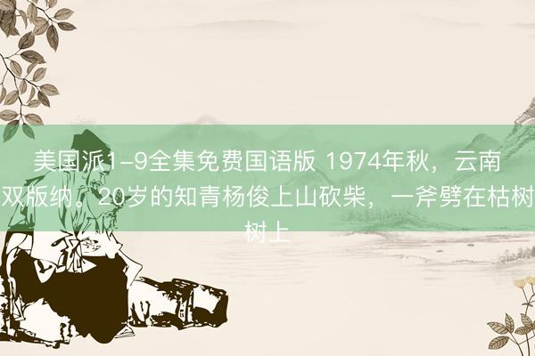 美国派1-9全集免费国语版 1974年秋，云南西双版纳。20岁的知青杨俊上山砍柴，一斧劈在枯树上