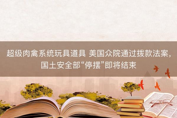 超级肉禽系统玩具道具 美国众院通过拨款法案，国土安全部“停摆”即将结束