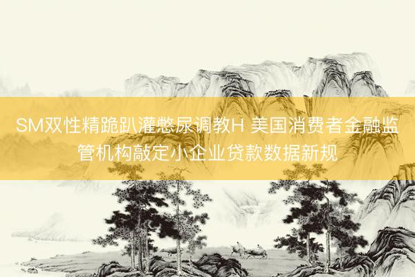 SM双性精跪趴灌憋尿调教H 美国消费者金融监管机构敲定小企业贷款数据新规