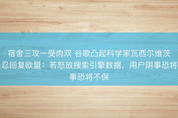 宿舍三攻一受肉双 谷歌凸起科学家瓦西尔维茨基坚忍回复欧盟：若怒放搜索引擎数据，用户阴事恐将不保