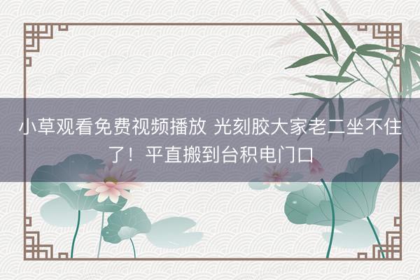 小草观看免费视频播放 光刻胶大家老二坐不住了！平直搬到台积电门口