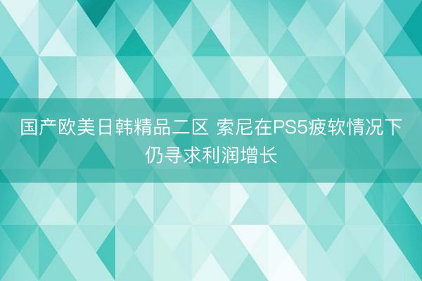 国产欧美日韩精品二区 索尼在PS5疲软情况下仍寻求利润增长