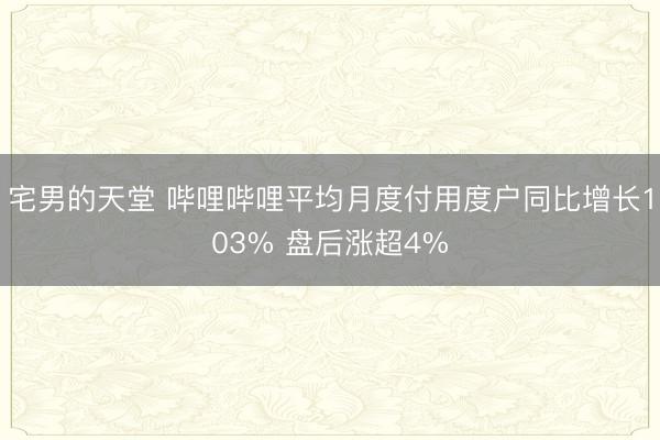 宅男的天堂 哔哩哔哩平均月度付用度户同比增长103% 盘后涨超4%