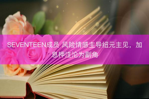 SEVENTEEN成员 风险情感主导纽元主见，加息押注沦为副角