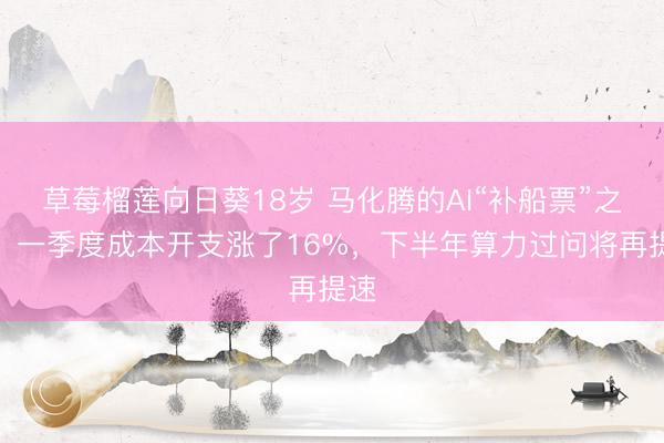 草莓榴莲向日葵18岁 马化腾的AI“补船票”之战:一季度成本开支涨了16%,下半年算力过问将再提速