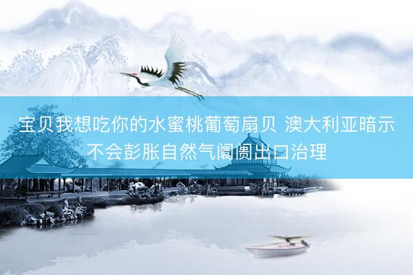 宝贝我想吃你的水蜜桃葡萄扇贝 澳大利亚暗示不会彭胀自然气阛阓出口治理