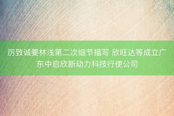 厉致诚要林浅第二次细节描写 欣旺达等成立广东中启欣新动力科技行使公司
