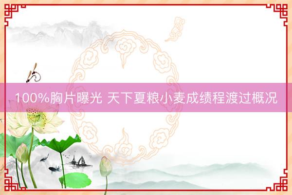 100%胸片曝光 天下夏粮小麦成绩程渡过概况