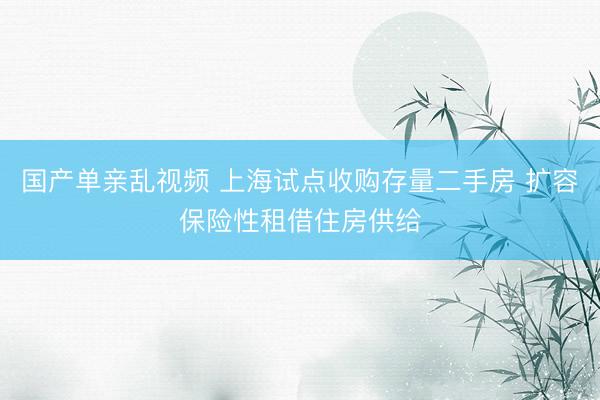 国产单亲乱视频 上海试点收购存量二手房 扩容保险性租借住房供给