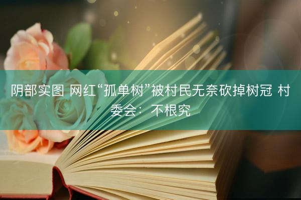 阴部实图 网红“孤单树”被村民无奈砍掉树冠 村委会：不根究
