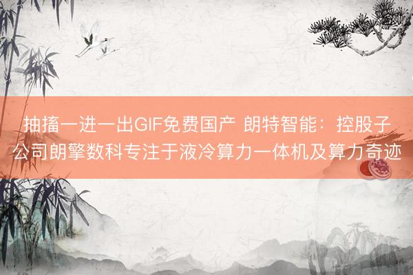 抽搐一进一出GIF免费国产 朗特智能：控股子公司朗擎数科专注于液冷算力一体机及算力奇迹