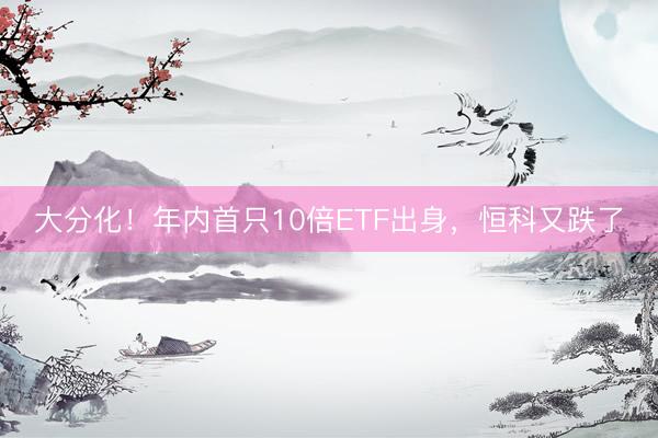 大分化！年内首只10倍ETF出身，恒科又跌了