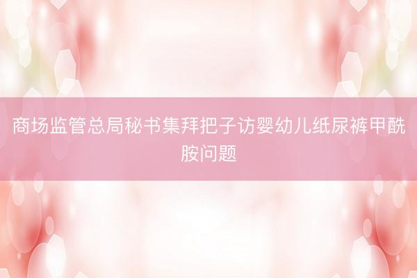 商场监管总局秘书集拜把子访婴幼儿纸尿裤甲酰胺问题