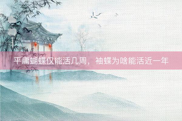 平庸蝴蝶仅能活几周，袖蝶为啥能活近一年